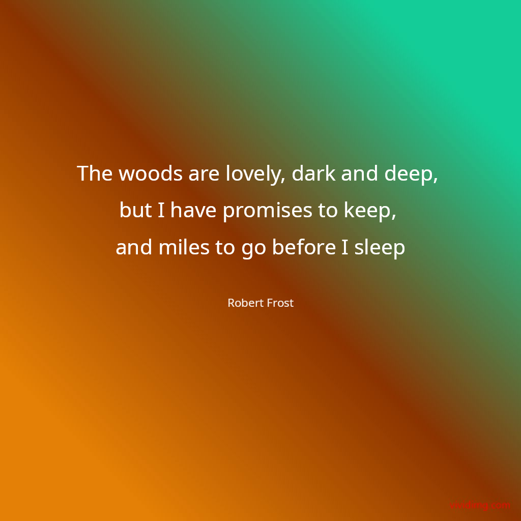 The woods are lovely, dark and deep, but I have promises to keep, and miles to go before I sleep